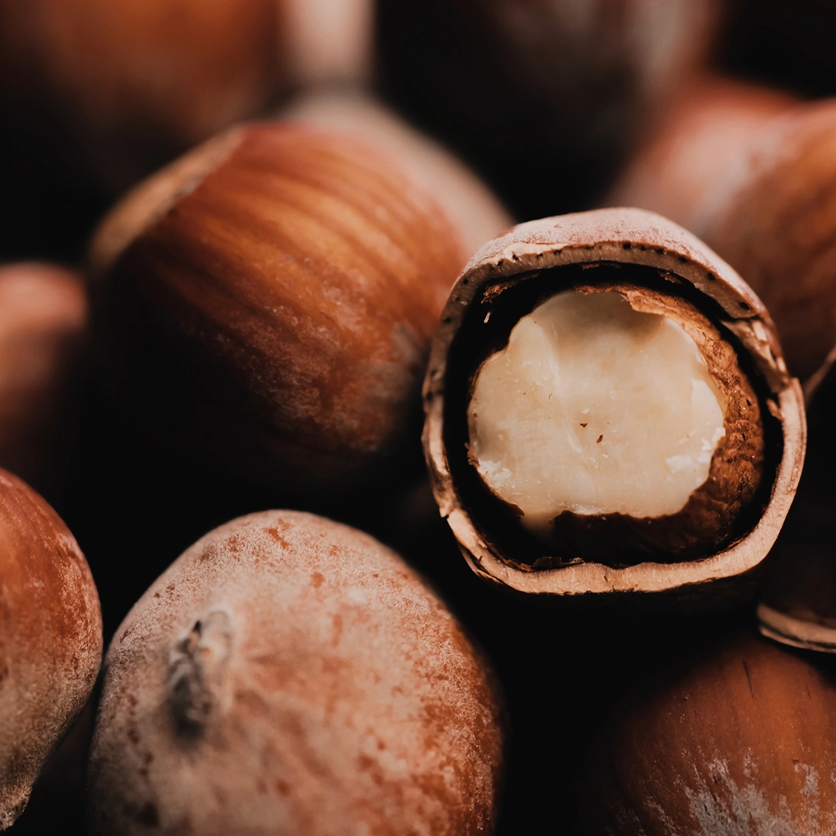 Brother's Love Bartwichse Hazelnut